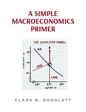portada A Simple Macroeconomics Primer (in English)