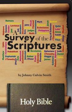 portada A Survey of the Scriptures (en Inglés)