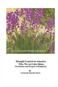 portada Thought Control in America: Why We ACT Like Idiots. the Demons and Dragons of Religiosity