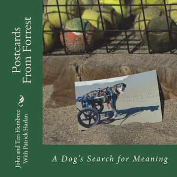 portada Postcards from Forrest: A dog's search for meaning (en Inglés)