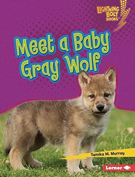 portada Meet a Baby Gray Wolf (Lightning Bolt Books ® ― Baby North American Animals) 