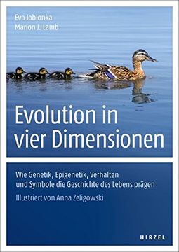 portada Evolution in Vier Dimensionen (in German)