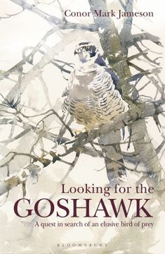 portada Looking for the Goshawk