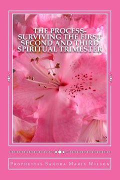 portada The Process-Surviving The First Second and Third Spiritual Trimester (en Inglés)