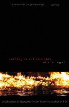 portada Nothing Is Inflammable (in English)