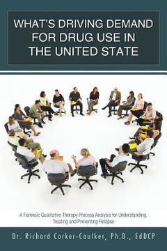 portada What's Driving Demand for Drug Use in the United State: A Forensic Qualitative Therapy Process Analysis for Understanding, Treating and Preventing Rel (en Inglés)