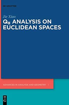 portada Q? Analysis on Euclidean Spaces: 1 (Advances in Analysis and Geometry) 