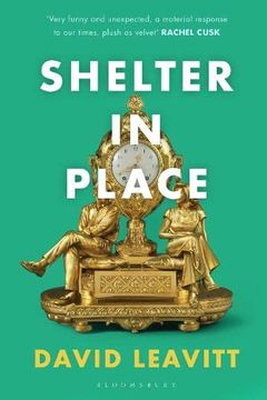 portada Shelter in Place (en Inglés)