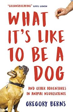 portada What It's Like to be a Dog: And Other Adventures in Animal Neuroscience (en Inglés)