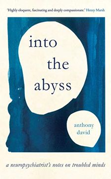 portada Into the Abyss: A Neuropsychiatrist's Notes on Troubled Minds