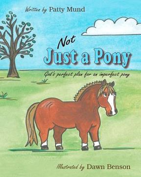 portada not just a pony (en Inglés)
