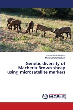 portada Genetic diversity of Macherla Brown sheep using microsatellite markers (en Inglés)