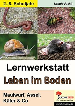 portada Lernwerkstatt Leben im Boden: Maulwurf, Assel, Käfer & Co (en Alemán)