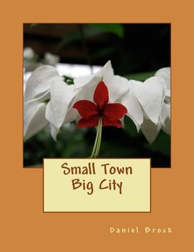 portada Small Town Big City (en Inglés)