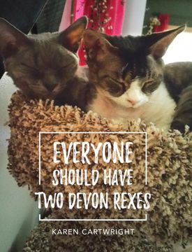 portada Everyone Should Have two Devon Rexes (in English)