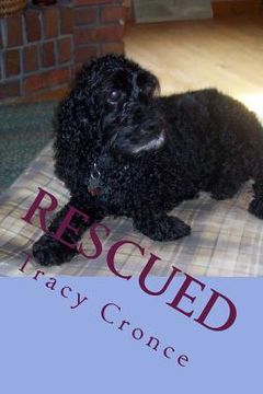 portada Rescued: The Story of a Cocker Spaniel's Second Chance at Life (en Inglés)