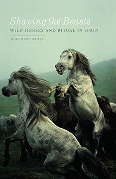 portada Shaving the Beasts: Wild Horses and Ritual in Spain (en Inglés)