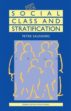 portada Social Class and Stratification (en Inglés)