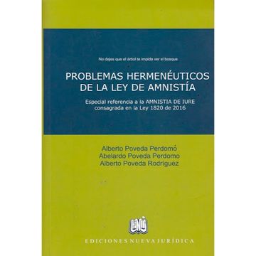 portada PROBLEMAS HERMENÉUTICOS DE LA LEY DE AMNISTÍA : ESPECIAL REFERENCIA A LA AMNISTÍA DE IURE CONSAGRADA EN LA LEY 1820 DE 2016
