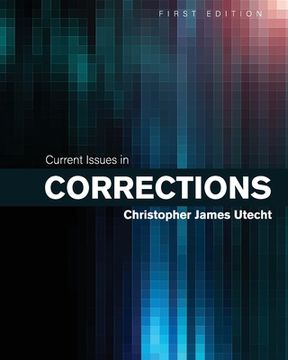 portada Current Issues in Corrections (in English)