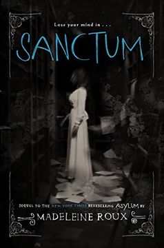 Sanctum (asylum, Band 2) (en Inglés)