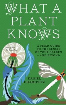 portada What a Plant Knows: A Field Guide to the Senses of Your Garden - and Beyond