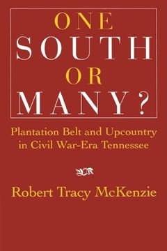 portada One South or Many? Plantation Belt and Upcountry in Civil War-Era Tennessee (in English)