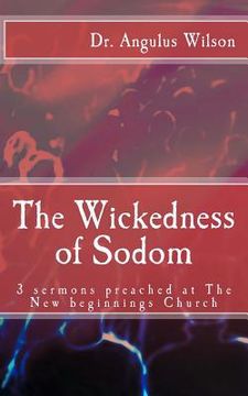 portada The Wickedness of Sodom: 3 sermons preached at the New beginnings Church (in English)