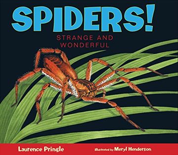 portada Spiders! Strange and Wonderful (in English)