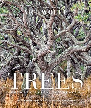 portada Trees: Between Earth and Heaven (en Inglés)