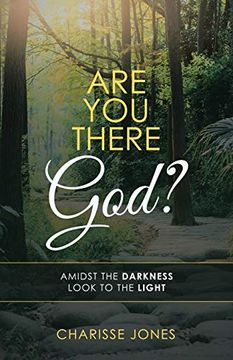 portada Are you There God? Amidst the Darkness Look to the Light (en Inglés)
