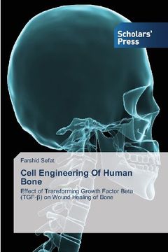 portada Cell Engineering of Human Bone