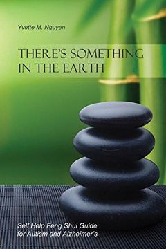 portada There's Something in the Earth: Self Help Feng Shui Guide for Autism and Alzheimer's (in English)
