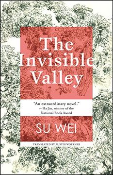 portada The Invisible Valley: A Novel (in English)