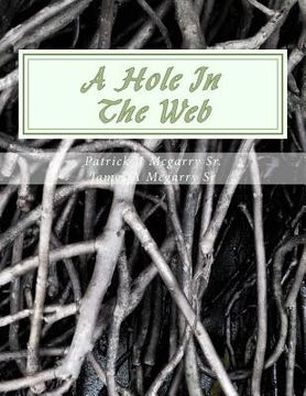 portada A Hole In The Web: From the mind of Visionary (en Inglés)