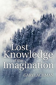 portada Lost Knowledge of the Imagination (en Inglés)