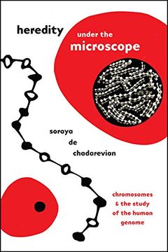 portada Heredity Under the Microscope: Chromosomes and the Study of the Human Genome (en Inglés)