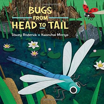 portada Bugs from Head to Tail
