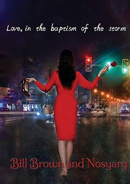 portada Love, in the Baptism of the Storm (in English)