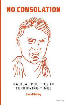 portada No Consolation: Radical Politics in Terrifying Times (en Inglés)