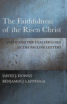 portada The Faithfulness of the Risen Christ: Pistis and the Exalted Lord in the Pauline Letters (in English)