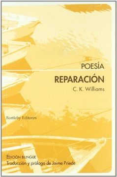 portada Reparacion (in Spanish)