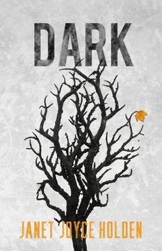 portada Dark: Carousel Book 3 (en Inglés)
