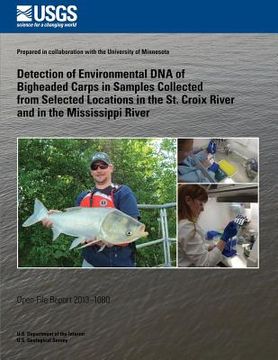 portada Detection of Environmental DNA of Bigheaded Carps in Samples Collected from Selected Locations in the St. Croix River and in the Mississippi River (en Inglés)