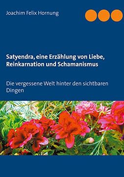 portada Satyendra, Eine Erzählung von Liebe, Reinkarnation und Schamanismus: Die Vergessene Welt Hinter den Sichtbaren Dingen (in German)