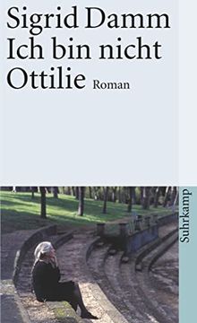 portada Ich bin Nicht Ottilie: Roman (en Alemán)