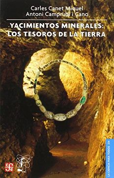 portada Yacimientos Minerales: Los Tesoros de la Tierra (in Spanish)