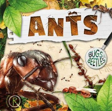 portada Ants (Bugs and Beetles) (en Inglés)