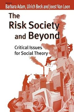 portada the risk society and beyond: critical issues for social theory (in English)