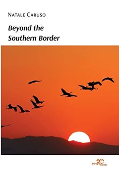 portada Beyond the Southern Border